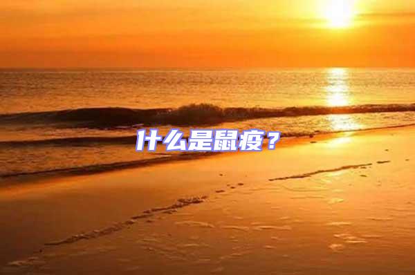 什么是鼠疫?