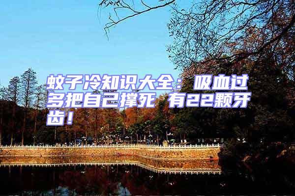 蚊子冷知識大全:吸血過多把自己撐死 有22顆牙齒!