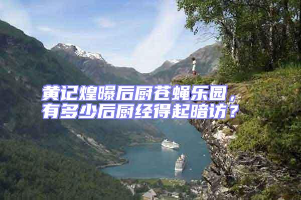 黃記煌曝后廚蒼蠅樂園, 有多少后廚經(jīng)得起暗訪?