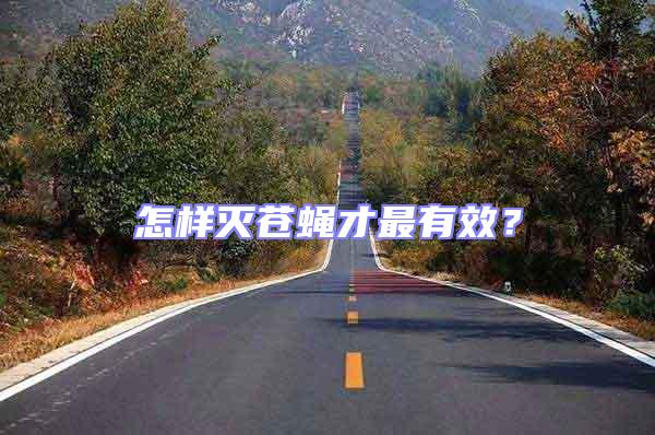 怎樣滅蒼蠅才最有效?