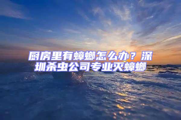 廚房里有蟑螂怎么辦？深圳殺蟲公司專業滅蟑螂