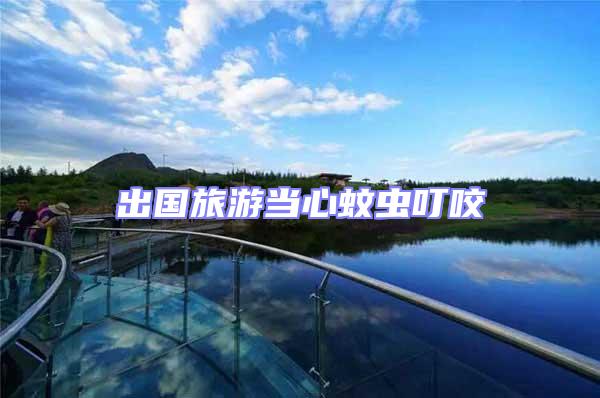 出國(guó)旅游當(dāng)心蚊蟲(chóng)叮咬