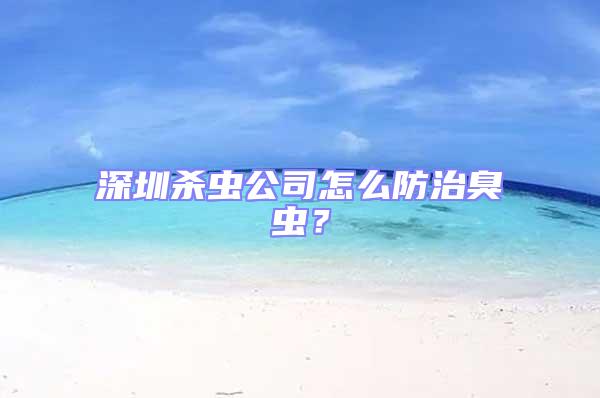 深圳殺蟲公司怎么防治臭蟲？