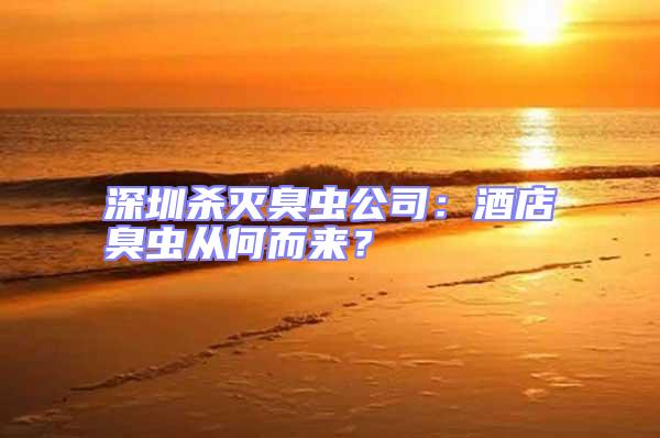 深圳殺滅臭蟲(chóng)公司：酒店臭蟲(chóng)從何而來(lái)？