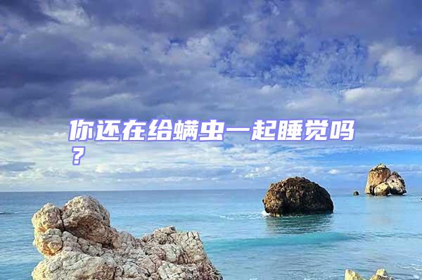 你還在給螨蟲一起睡覺嗎?