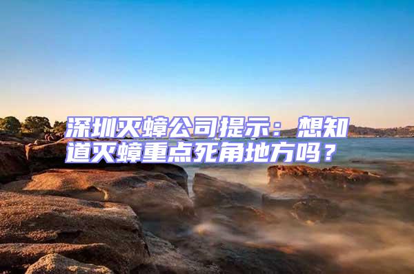 深圳滅蟑公司提示:想知道滅蟑重點死角地方嗎?