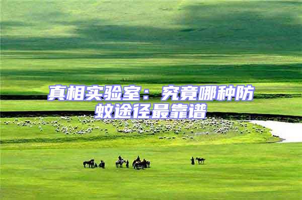 真相實驗室:究竟哪種防蚊途徑最靠譜