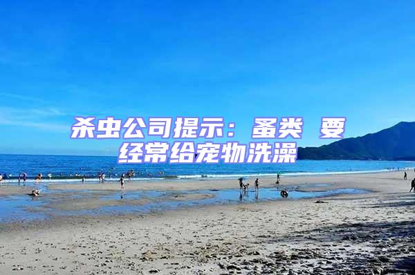 殺蟲公司提示:蚤類 要經常給寵物洗澡