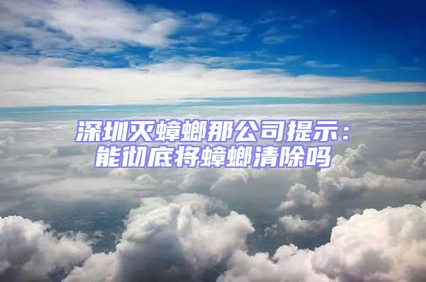 深圳滅蟑螂那公司提示:能徹底將蟑螂清除嗎