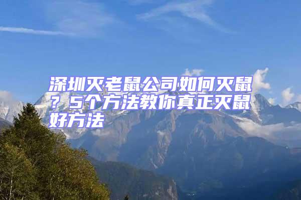 深圳滅老鼠公司如何滅鼠?5個方法教你真正滅鼠好方法
