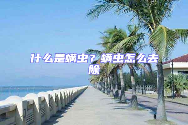 什么是螨蟲?螨蟲怎么去除