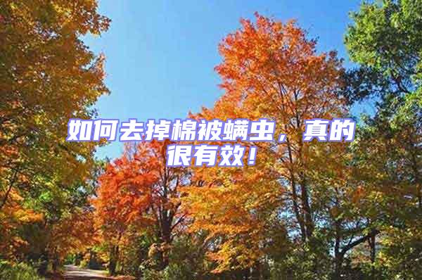 如何去掉棉被螨蟲,真的很有效!