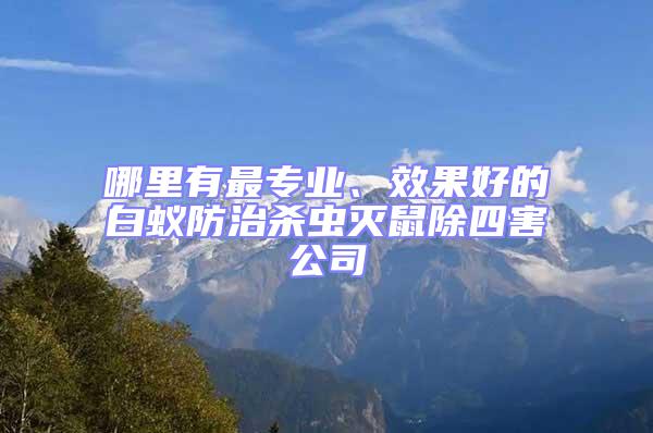 哪里有最專業(yè)、效果好的白蟻防治殺蟲滅鼠除四害公司