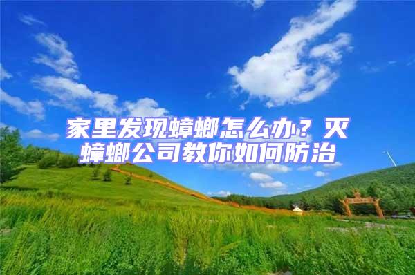 家里發(fā)現(xiàn)蟑螂怎么辦？滅蟑螂公司教你如何防治