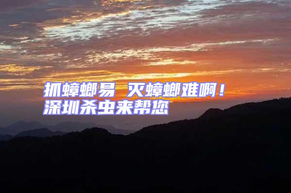 抓蟑螂易 滅蟑螂難??！ 深圳殺蟲來幫您