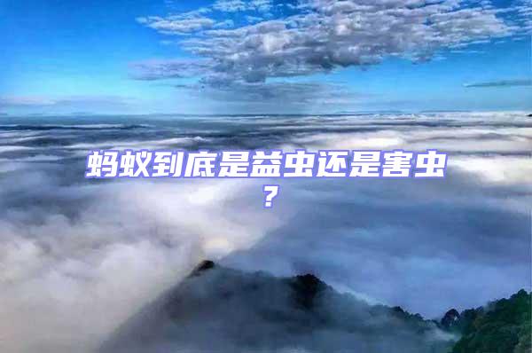 螞蟻到底是益蟲還是害蟲?