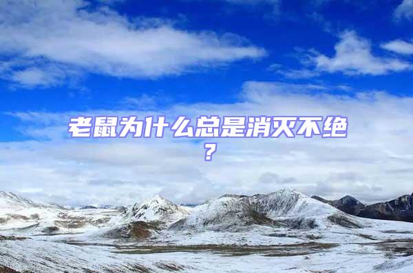 老鼠為什么總是消滅不絕?