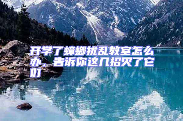 開學(xué)了蟑螂擾亂教室怎么辦,告訴你這幾招滅了它們