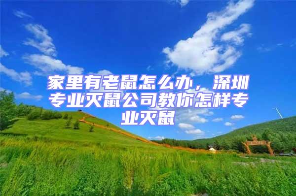 家里有老鼠怎么辦，深圳專業滅鼠公司教你怎樣專業滅鼠