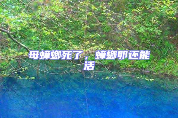 母蟑螂死了,蟑螂卵還能活