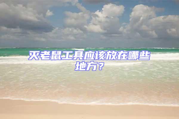 滅老鼠工具應該放在哪些地方？