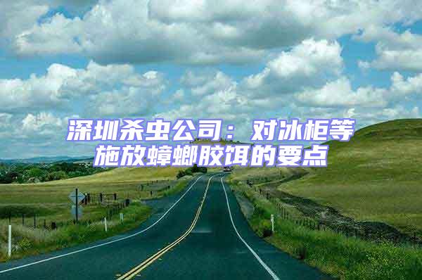 深圳殺蟲公司:對冰柜等施放蟑螂膠餌的要點