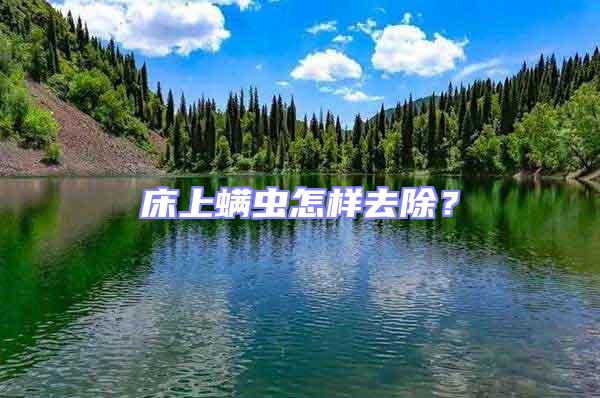 床上螨蟲怎樣去除?