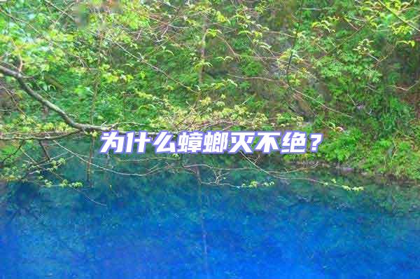 為什么蟑螂滅不絕?