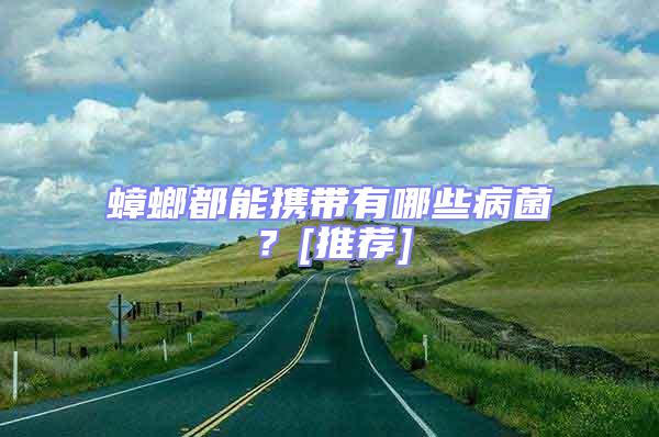 蟑螂都能攜帶有哪些病菌？[推薦]