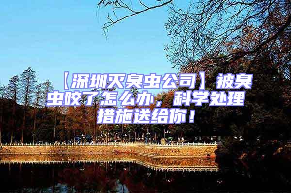 【深圳滅臭蟲公司】被臭蟲咬了怎么辦,科學(xué)處理措施送給你!