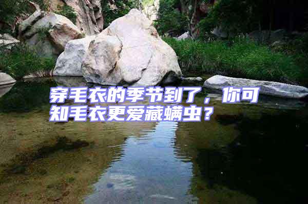 穿毛衣的季節(jié)到了,你可知毛衣更愛藏螨蟲?