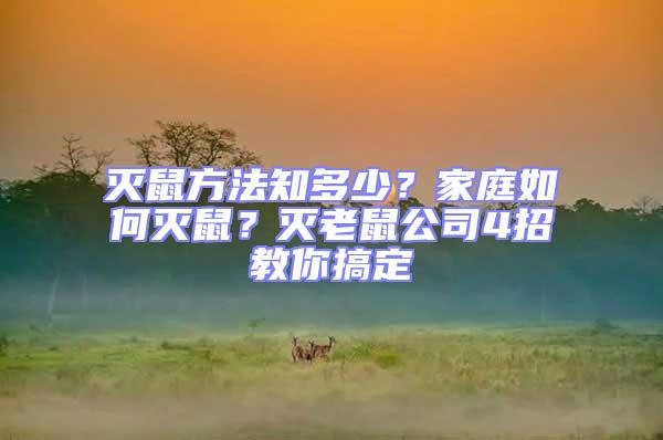 滅鼠方法知多少?家庭如何滅鼠?滅老鼠公司4招教你搞定
