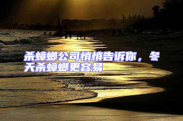 殺蟑螂公司悄悄告訴你,冬天殺蟑螂更容易
