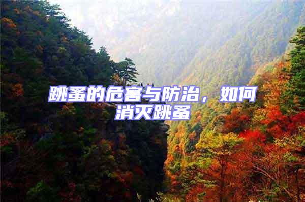跳蚤的危害與防治,如何消滅跳蚤