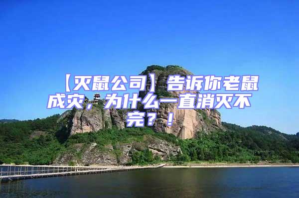 【滅鼠公司】告訴你老鼠成災(zāi),為什么一直消滅不完?!