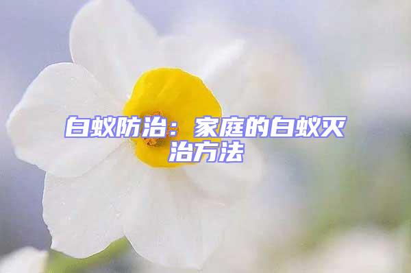 白蟻防治:家庭的白蟻滅治方法