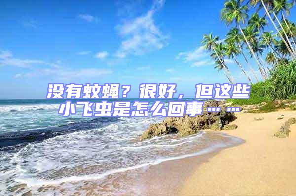 沒有蚊蠅?很好,但這些小飛蟲是怎么回事……