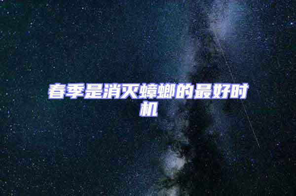 春季是消滅蟑螂的最好時機(jī)
