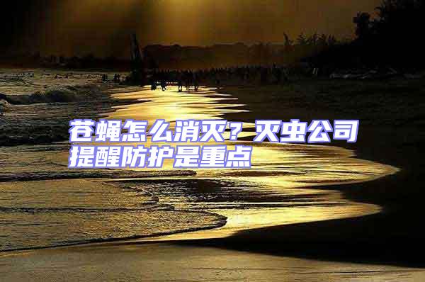 蒼蠅怎么消滅?滅蟲公司提醒防護(hù)是重點(diǎn)