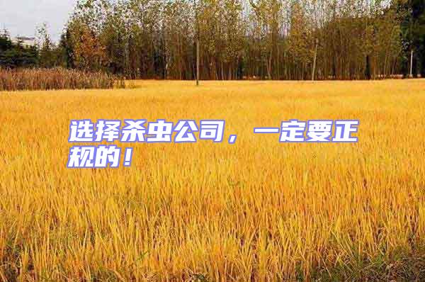 選擇殺蟲(chóng)公司,一定要正規(guī)的!