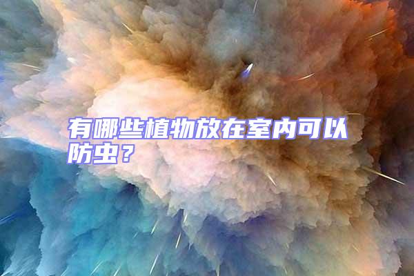 有哪些植物放在室內可以防蟲?