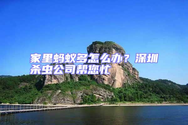 家里螞蟻多怎么辦?深圳殺蟲公司幫您忙