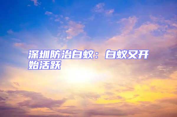 深圳防治白蟻:白蟻又開始活躍