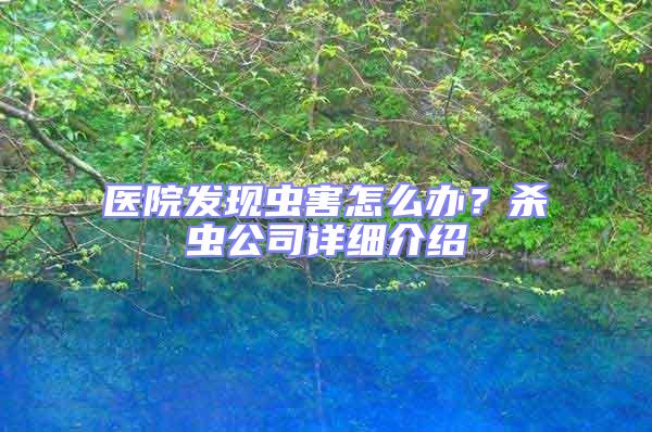醫院發現蟲害怎么辦？殺蟲公司詳細介紹