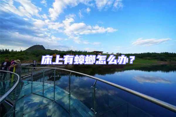 床上有蟑螂怎么辦?