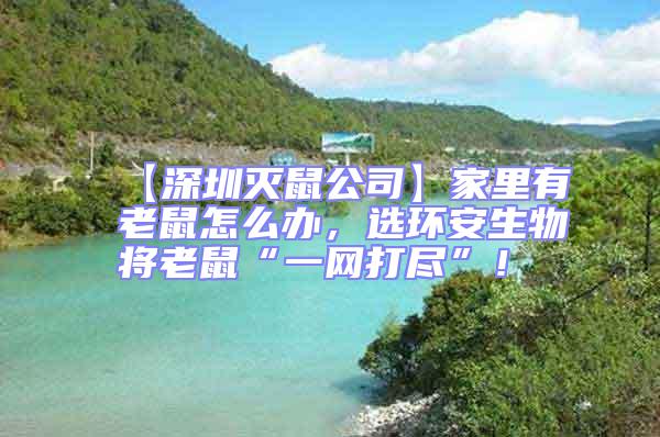 【深圳滅鼠公司】家里有老鼠怎么辦,選環安生物將老鼠“一網打盡”!