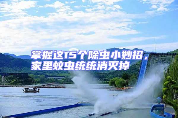掌握這15個除蟲小妙招,家里蚊蟲統統消滅掉