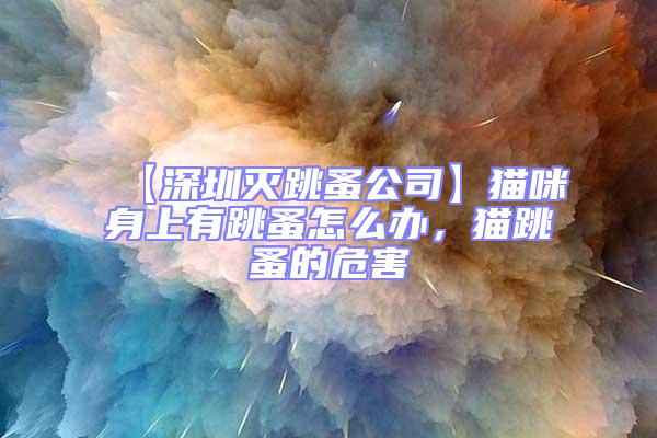 【深圳滅跳蚤公司】貓咪身上有跳蚤怎么辦，貓跳蚤的危害