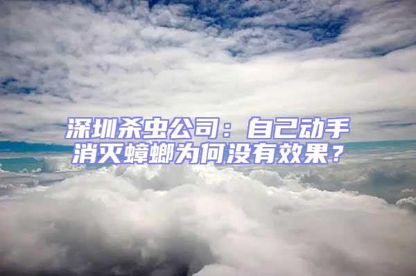 深圳殺蟲公司:自己動(dòng)手消滅蟑螂為何沒有效果?