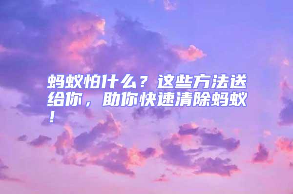 螞蟻怕什么?這些方法送給你,助你快速清除螞蟻!